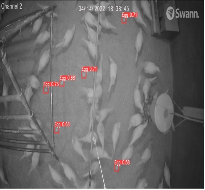 Performance of models in detection floor eggs (UGA farm)