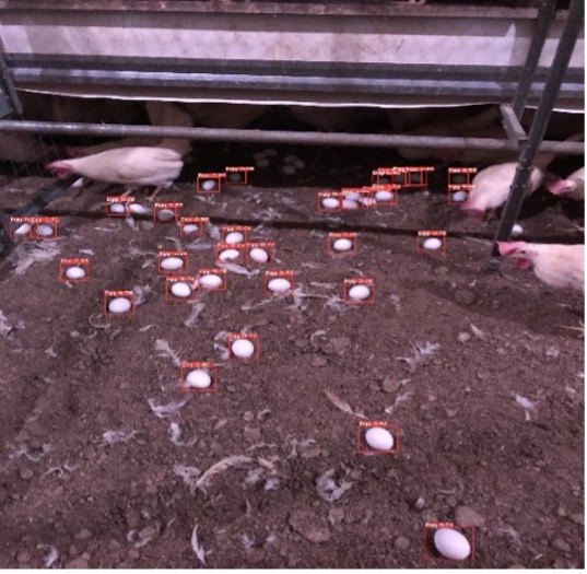 Performance of models in detection of floor eggs (Commercial farm)